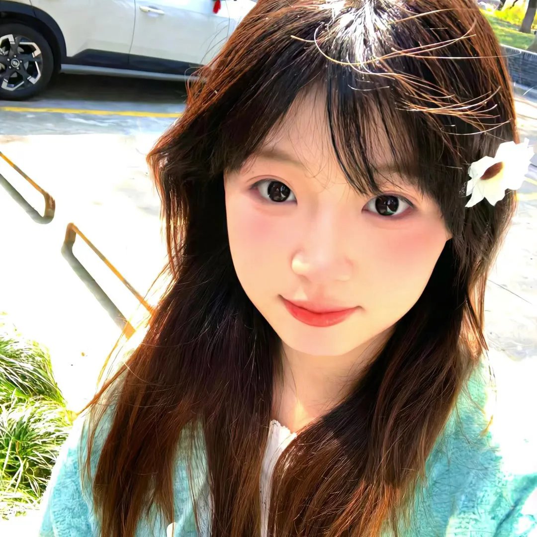 热带雨林的爆笑生活